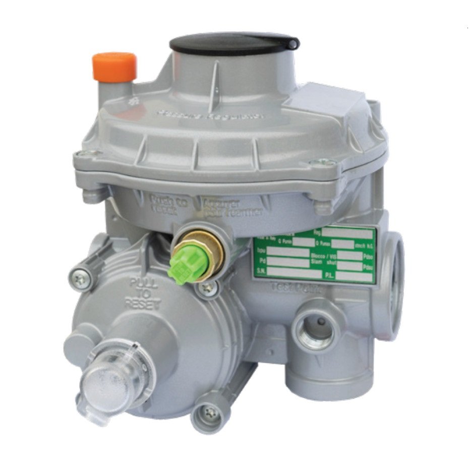 FE Diaphragm Gas Meter for Commercial Use - Pietro Fiorentini