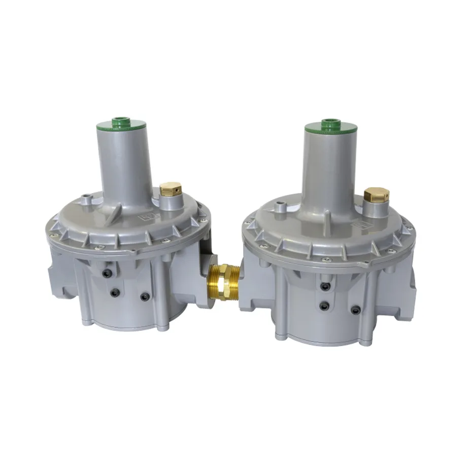 Governor Dual Cut (PFG300 DC): two regulators in series for two-stage overpressure protection by Pietro Fiorentini
