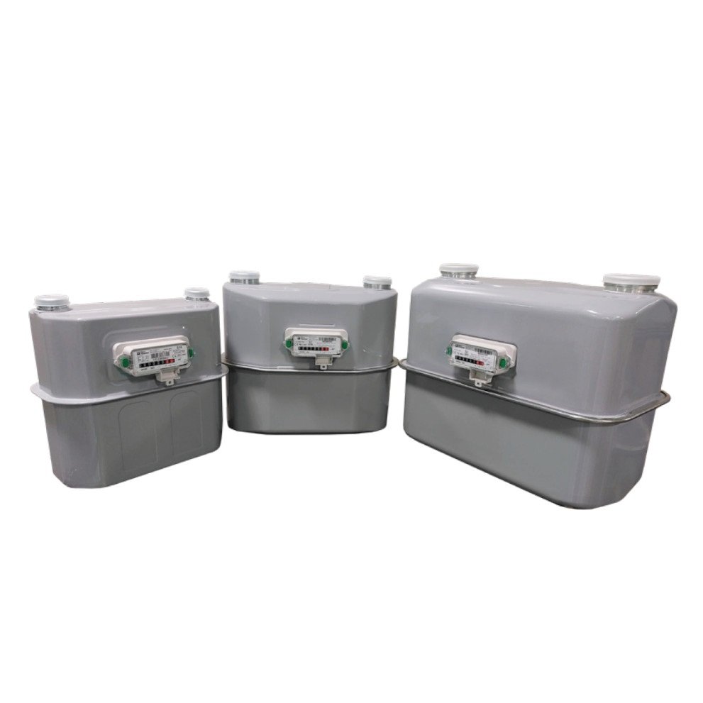 MM Rotary Displacement Gas Meter - Pietro Fiorentini