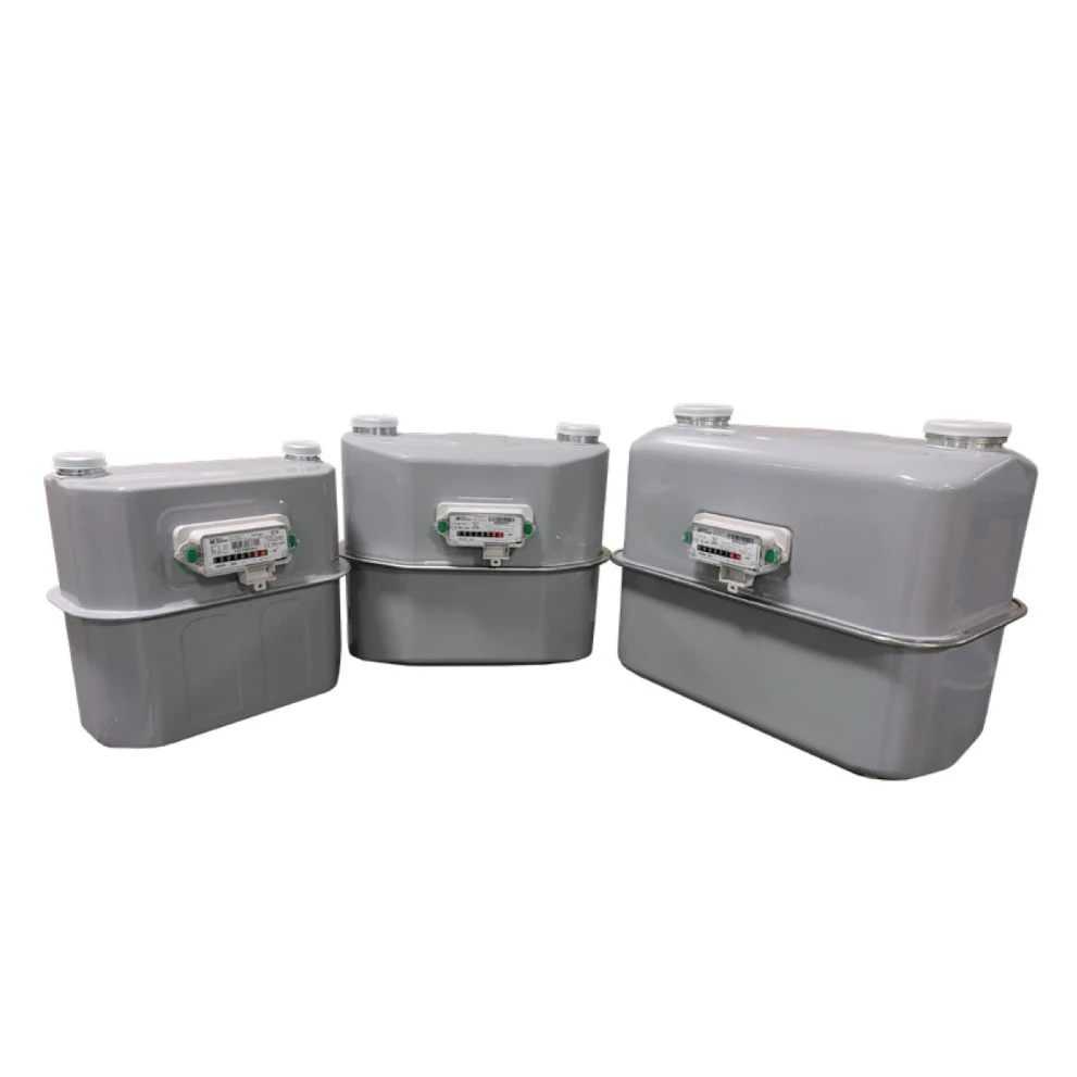 MM diaphragm gas meter for commercial users, zinc-coated steel case, by Pietro Fiorentini