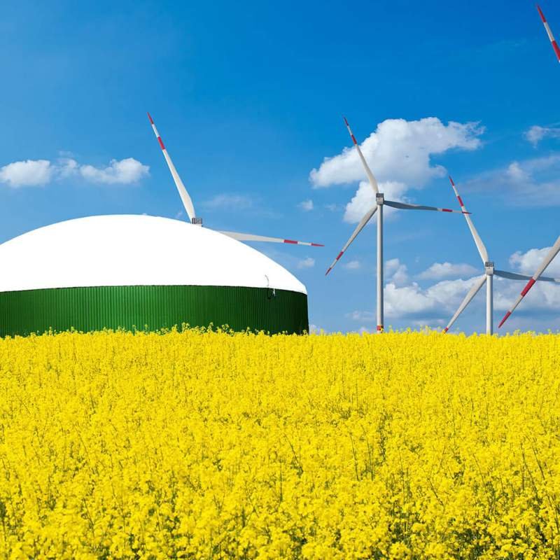 Renewable Energy Solutions - Biogas and Hydrogen Systems by Pietro Fiorentini Saudi Arabia